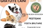 Sterilizări gratuite câini